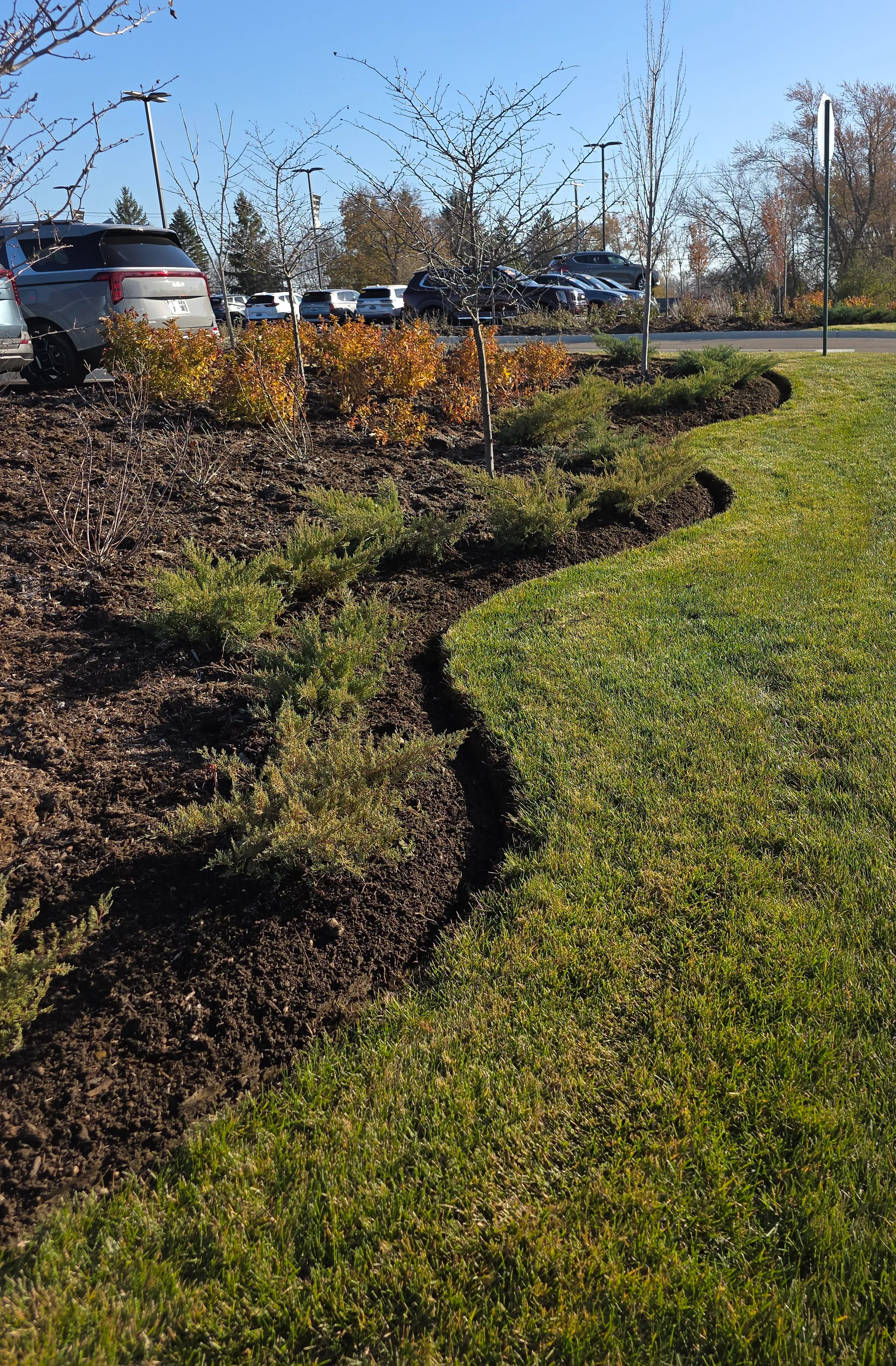 Garden makeover in Vernon Hills, IL